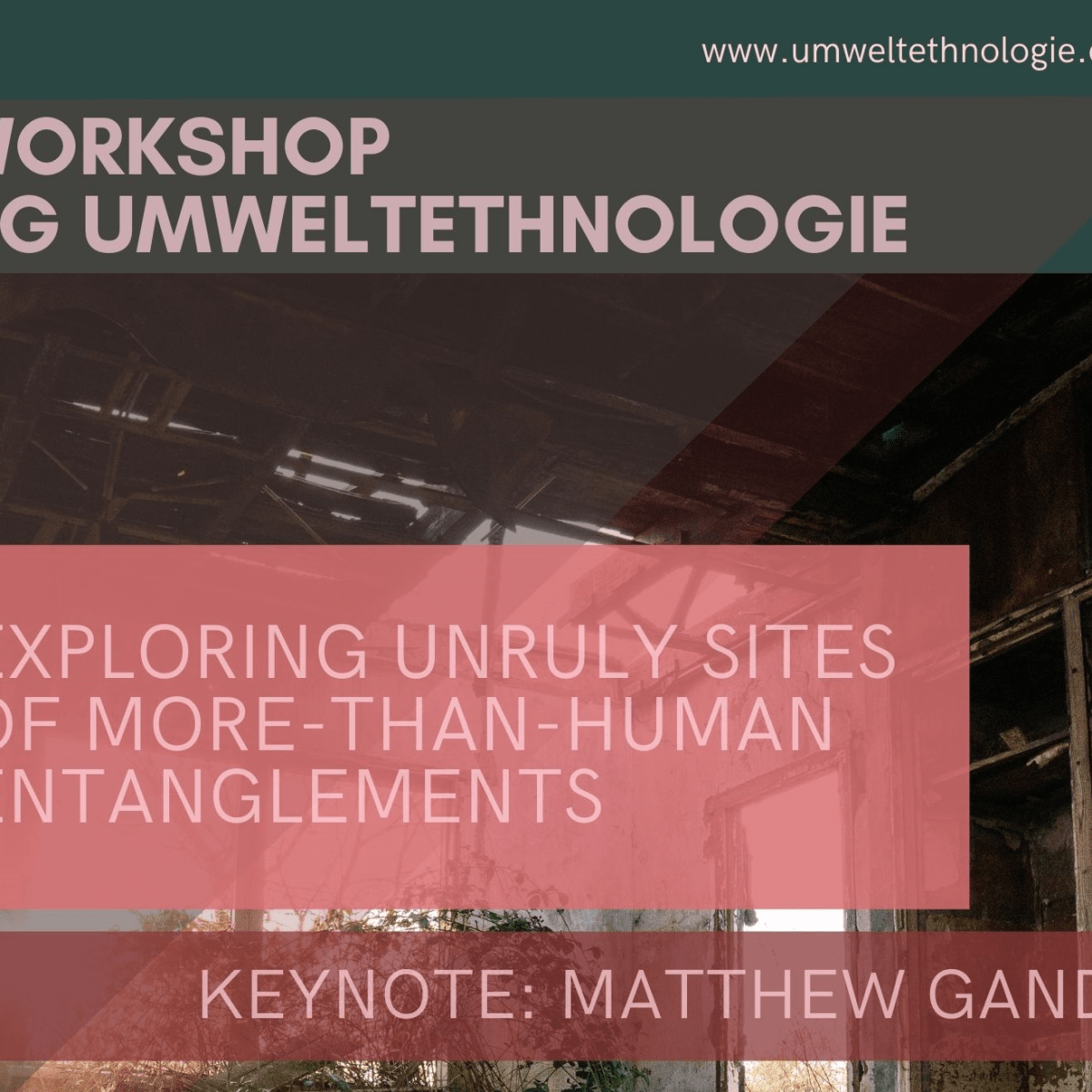 Workshopbericht „Exploring Unruly Sites of More-than-Human Entanglements“&nbsp;(2022)