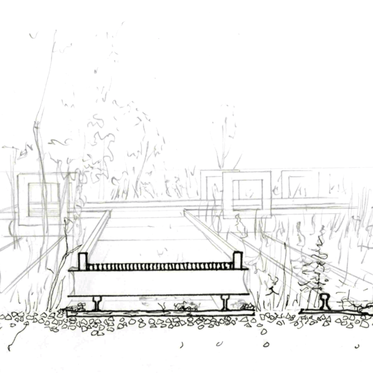 Choreographies of Unruliness