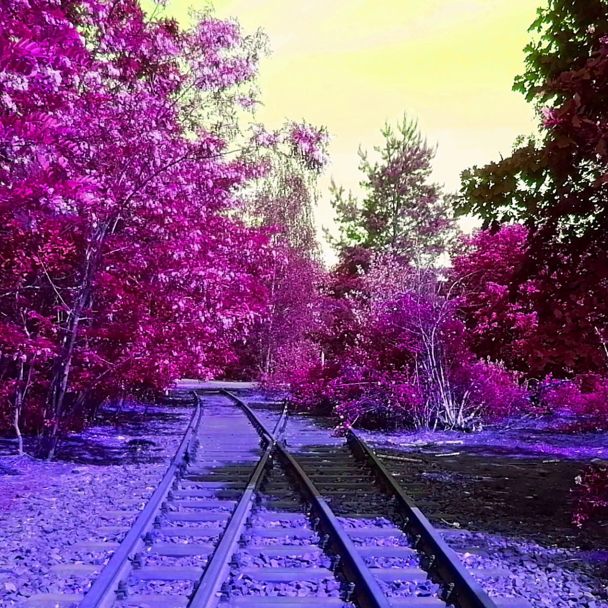 Identifying care-utilization relations through unruly sites at the public park Gleisdreieck in&nbsp;Berlin